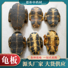 批发龟板中药材大货供应安国醋龟甲血板下板龟壳药材生龟板