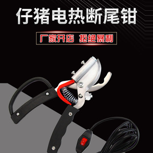 ���i��β�QС�i��β�Q늟�ȥβ�Q�F���Bֳ���i����β�Q��ֹѪ�Q