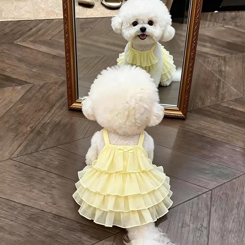 E104 Summer Thin Breathable Ins-Style Princess Dress for Small Cats and Dogs, Sweet and Cute for Home Photos