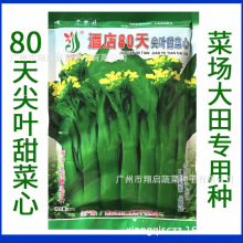酒店80天尖叶甜菜心种子耐寒油青菜心种籽蔬菜种子公司建南种业