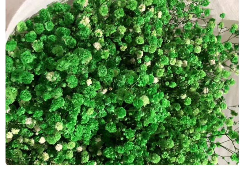 Full Sky Star, Immortal Flower, Dry Flower, True Flower Bundle, Flower Material, Gift, Flower_voghion.com