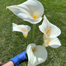 ˮ���ɫ�a�����r�����ֱ�l�͏d�������ˮ�B�r�л����������l