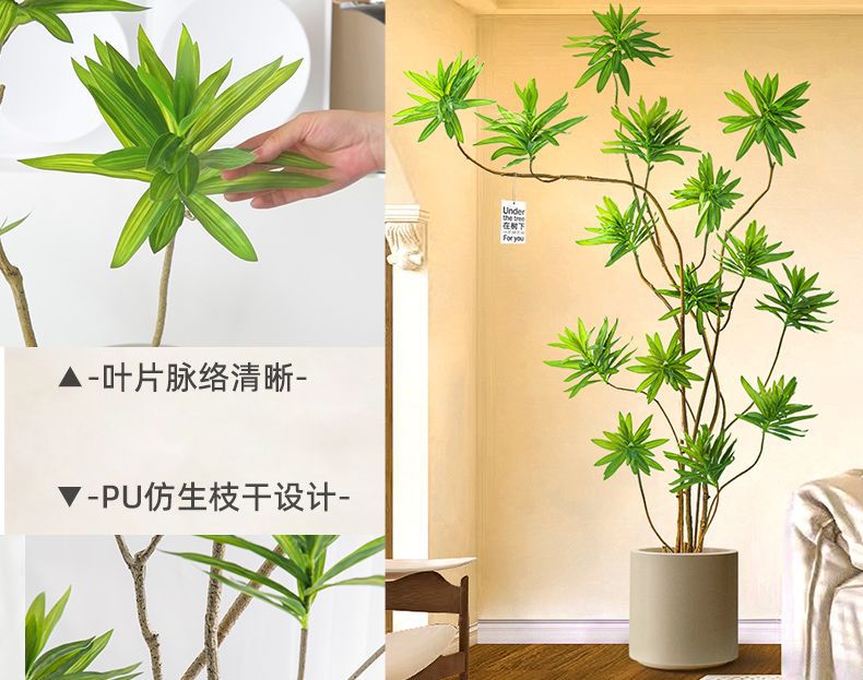 详情图