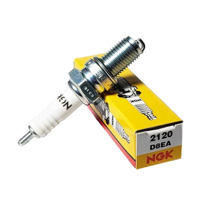 and Loncin 200, Alışdırma şamı (Sveçalar)