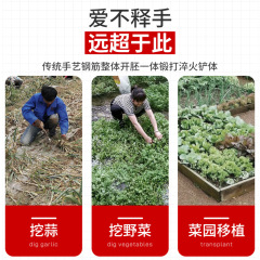 挖野菜的小鏟子神器挖蒜鏟子挖土園藝種菜除草工具挖菜專用鏟蒜鏟