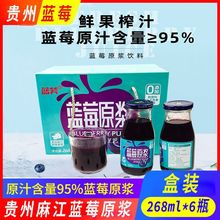 貴州麻江特產藍莓原漿原汁無糖濃縮果蔬汁孕婦兒童食品飲料6瓶裝