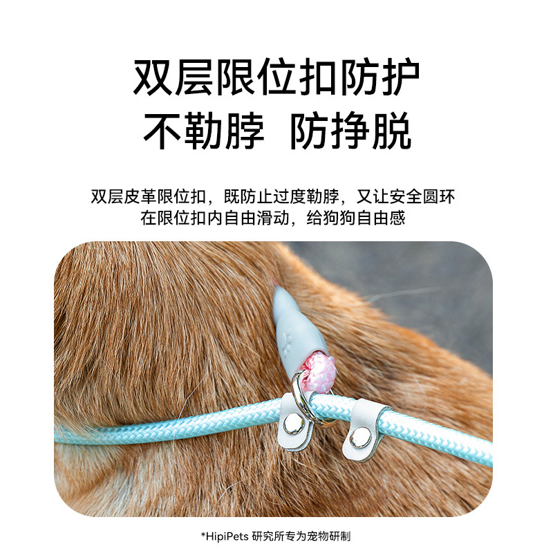 cuerda de tracción de perros sueños gradiente desvanecimiento P cuerda explosión cadena de entrenamiento de perros cuerda de tracción de perros de tamaño medio cuerda de perros