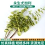 仿真跨境婚庆永生花假花