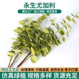 16叉尤加利叶金钱叶跨境婚庆插花搭配假花装饰永生花仿真绿植批发