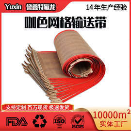 铁氟龙网带网格防静电工业输送带特氟龙耐高温磨损PTFE传送带微波
