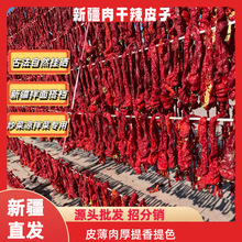 �����½���������Ƥ�����������Ⱥ�����Ƥ���½������n΢����