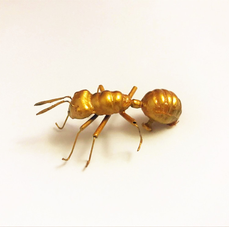 昆虫 アリ マグネット 装飾品 シーン レイアウト 教育用品 人間のおもちゃ|undefined
