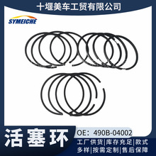 �����ڶ��翵��˹������������490B-04002/490B-04003/490B-04101