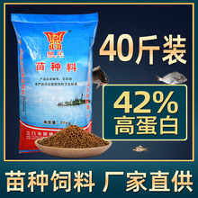 �~�����������~�a�~�_�����X�^�p�~�\���_����ˮ�a�Bֳ�����~ʳ