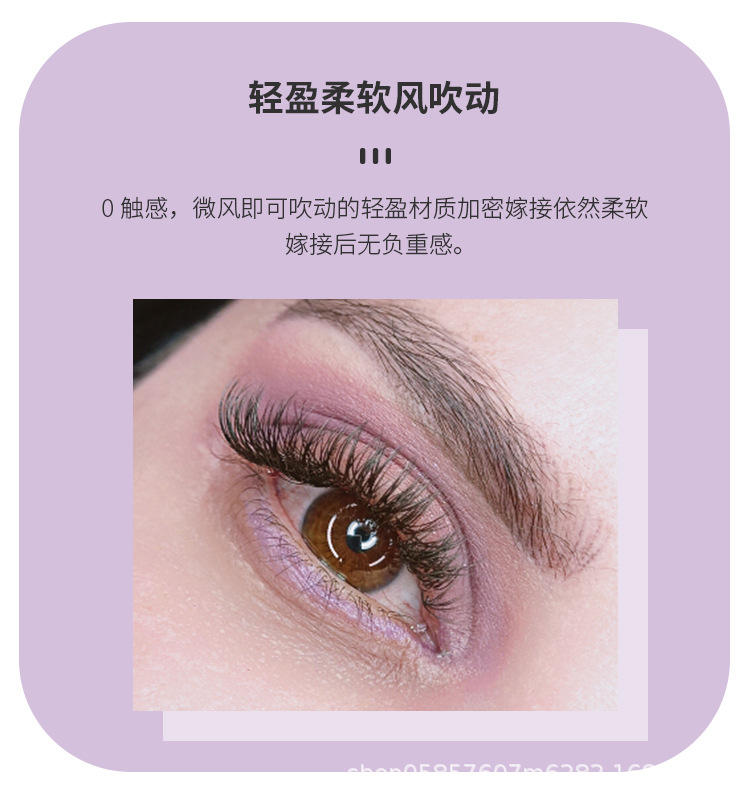 双尖扁毛睫毛 双尖扁毛睫毛