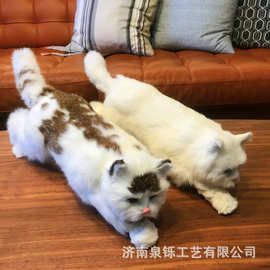 仿真猫咪模型逼真假猫客厅橱窗装饰摆件创意生日礼物工艺品厂家