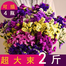 ֱlɻrMpݸ߼в廨Lɻ