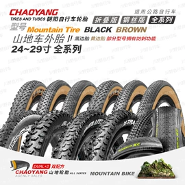 自行车轮胎;打气筒;自行车灯