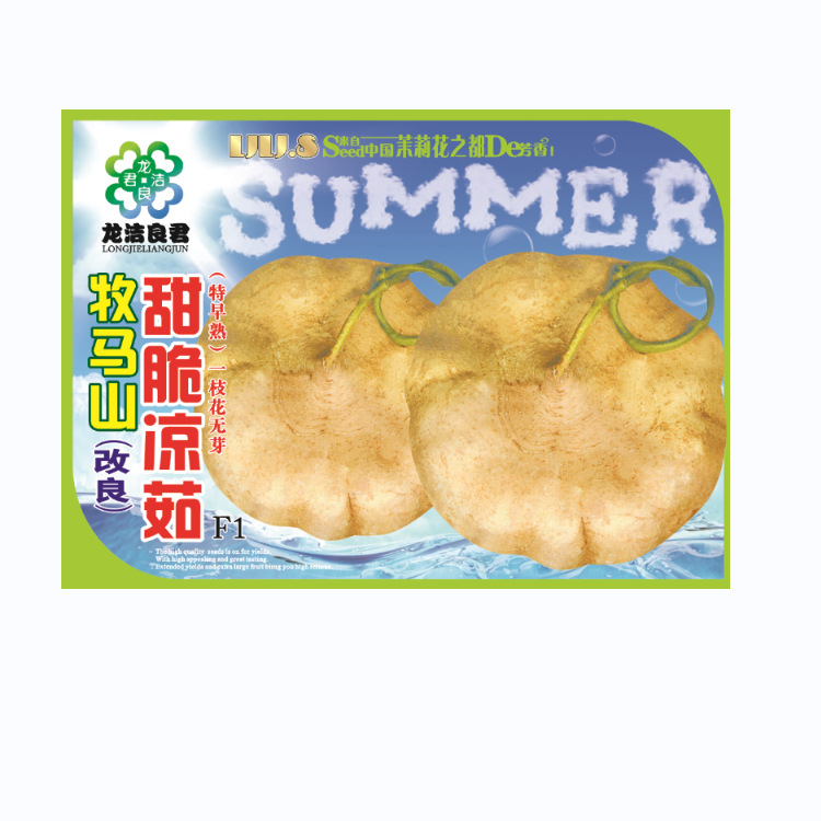 冯子龙蔬菜种子牧马山甜脆凉茹早熟一枝花无芽F1地瓜种子基地田园