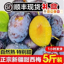 西梅新鲜水果礼盒二级李子孕妇新疆鲜果法兰西喀什西梅甜包邮其他