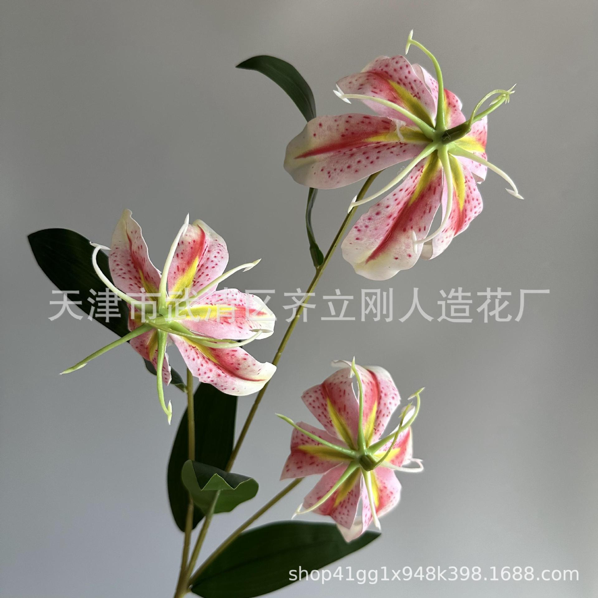 15호