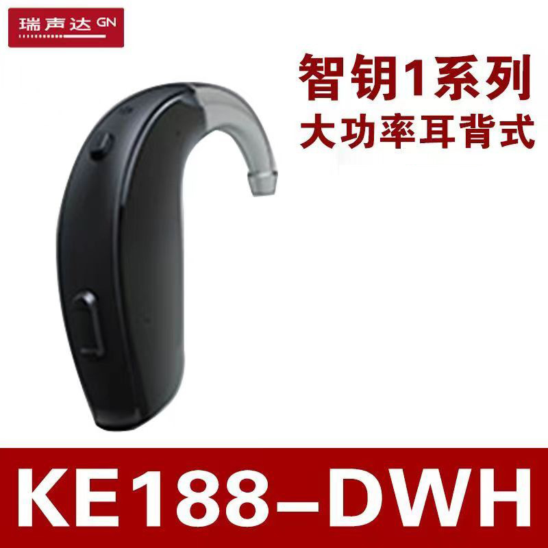 Ruishengda inteligente Serie clave audífono Programación digital para los ancianos sordos oído inalámbrico invisible para los jóvenes