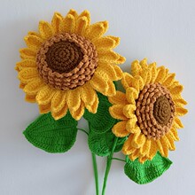 ��Ʒ�ֹ�ë�������p�����տ����������˹��̎���ĸ�H�����I���Y��