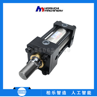 �ձ�ܥ�� HORIUCHI���UҺ����FFR-SB 1S80BN70A0D���I�͉���