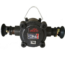 VýӾ BHD2-100/660(380)-(2~4)TVø͵͉|Ӿ