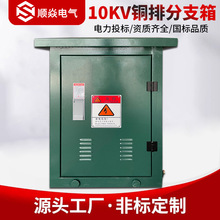 10KV高压电缆分支箱箱DFW欧式35kv铜排分线箱不锈钢材质一进二出