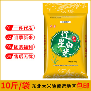 ���������|�ǰ���10����]�������|�����׹���5kg�д��l