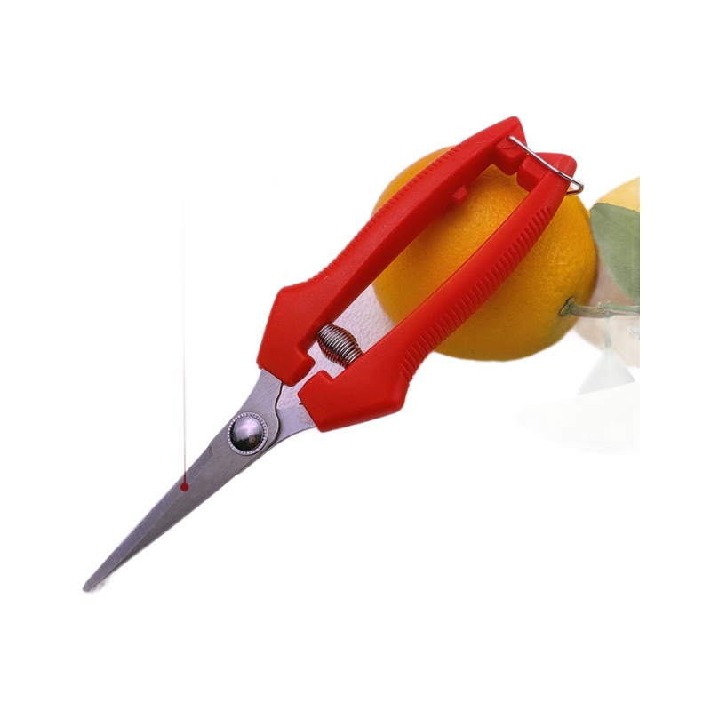 Yangjiang árboles frutales tijeras de corte de ramas de acero inoxidable tijeras de jardinería casera cortar ramas de árboles cortar naranja extraña naranja especial