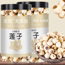 莲子干货500g去芯心莲子磨皮无芯白莲子通心湘莲无硫干货黄玉米