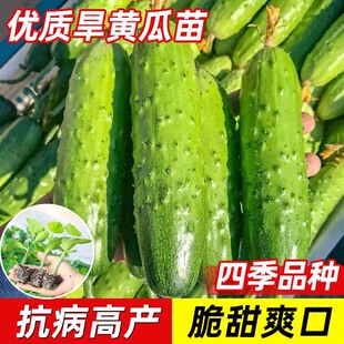 S|S߲ѷNļ߮aˮСS̨