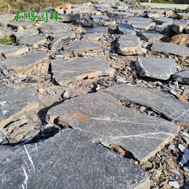 假山石造景案例踏步石厂家 珠海黑山石水钵庭院图片 太湖石汀步石