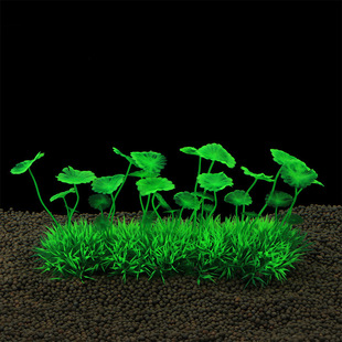 ˮˮbС~׼ˮϔ[ˮ쾰ײ͸߿G