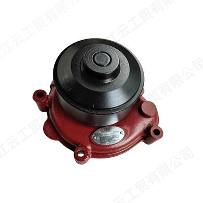 Water pump B diesel D6114
