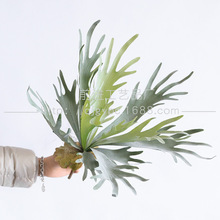 ɳ��ֲ�����Gֲ¹���~���^�쾰�����ƴ���G�~�٘��~�~��