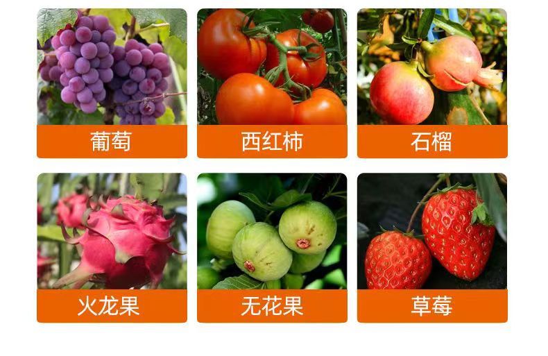 微信图片_20240702160853