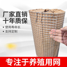 铁丝网围栏热镀锌电焊网片网格围栏养殖网钢丝防护网圈地网荷兰网