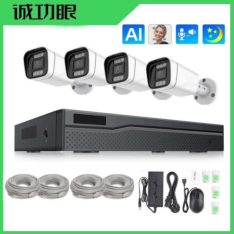 A todo color de visión nocturna con audio POE red Cable Alimentación traje vigilancia CCTV NVR HD Cámara al por mayor