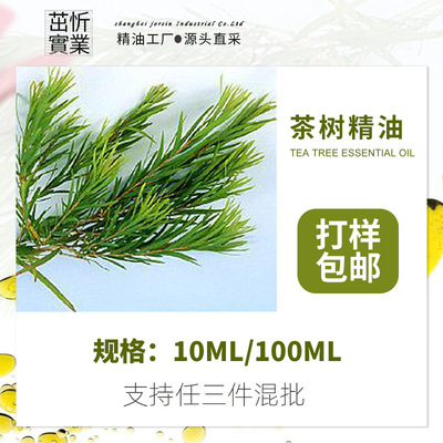 澳洲茶树精油互叶白千层小规格植物香精油原料批发工厂