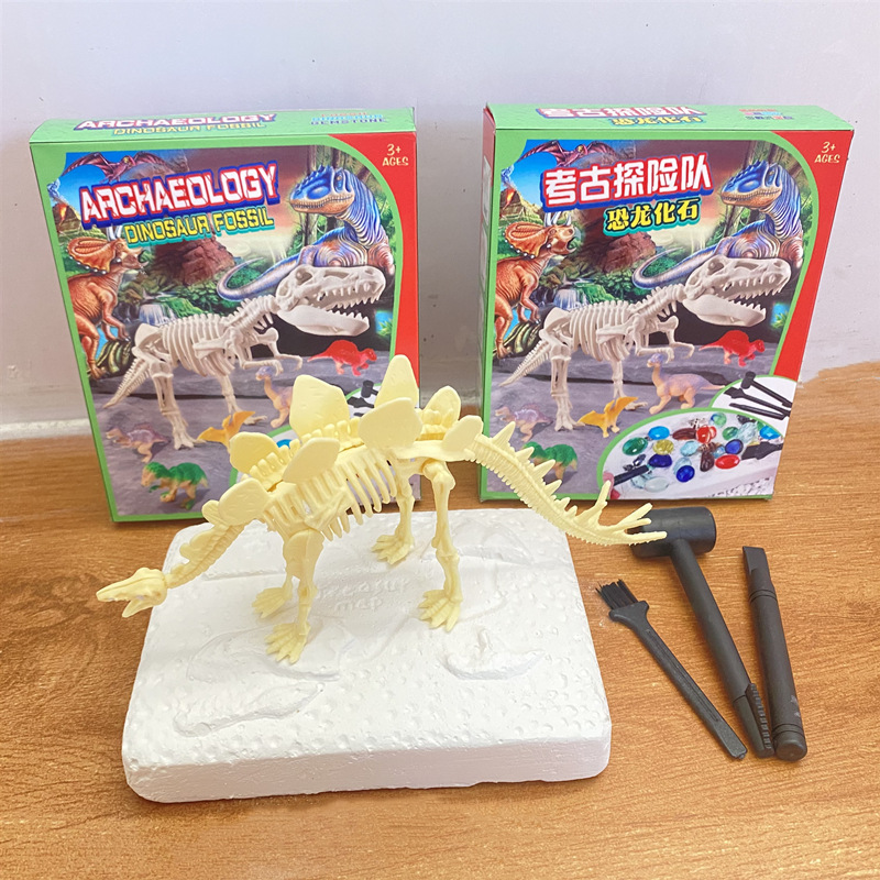 컬러 박스-Stegosaurus 해골 + 도구