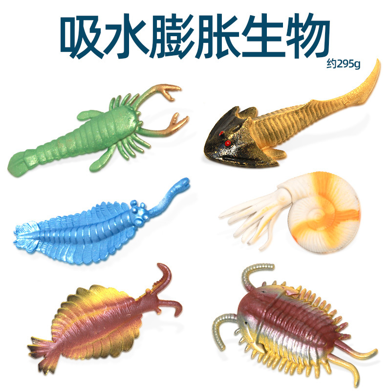 HX022 흡착 카드 팽창 고대 해양 생물, 6개 단위로 구매하세요.