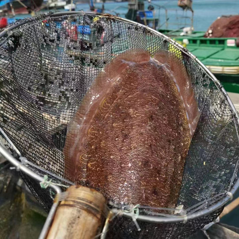 微信图片_202303061135085