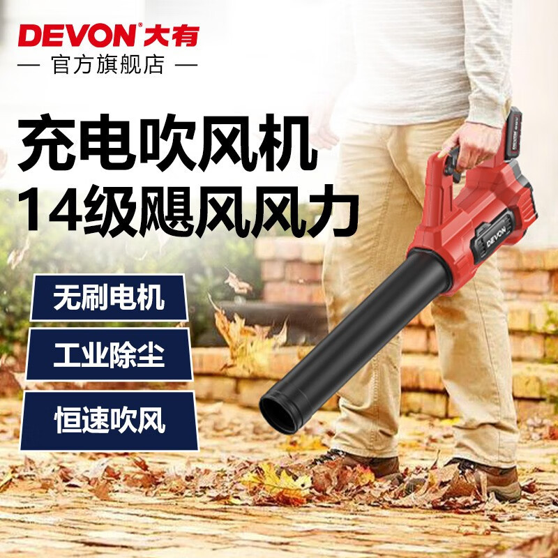 Gran litio hay (Devon) soplador eléctrico de 20V 4707 soplador de cenizas pequeño secador de pelo doméstico árboles de soplado de jardín