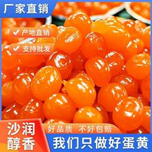 �t���̵��S�決��Ʒ���S����������������F���������S��������