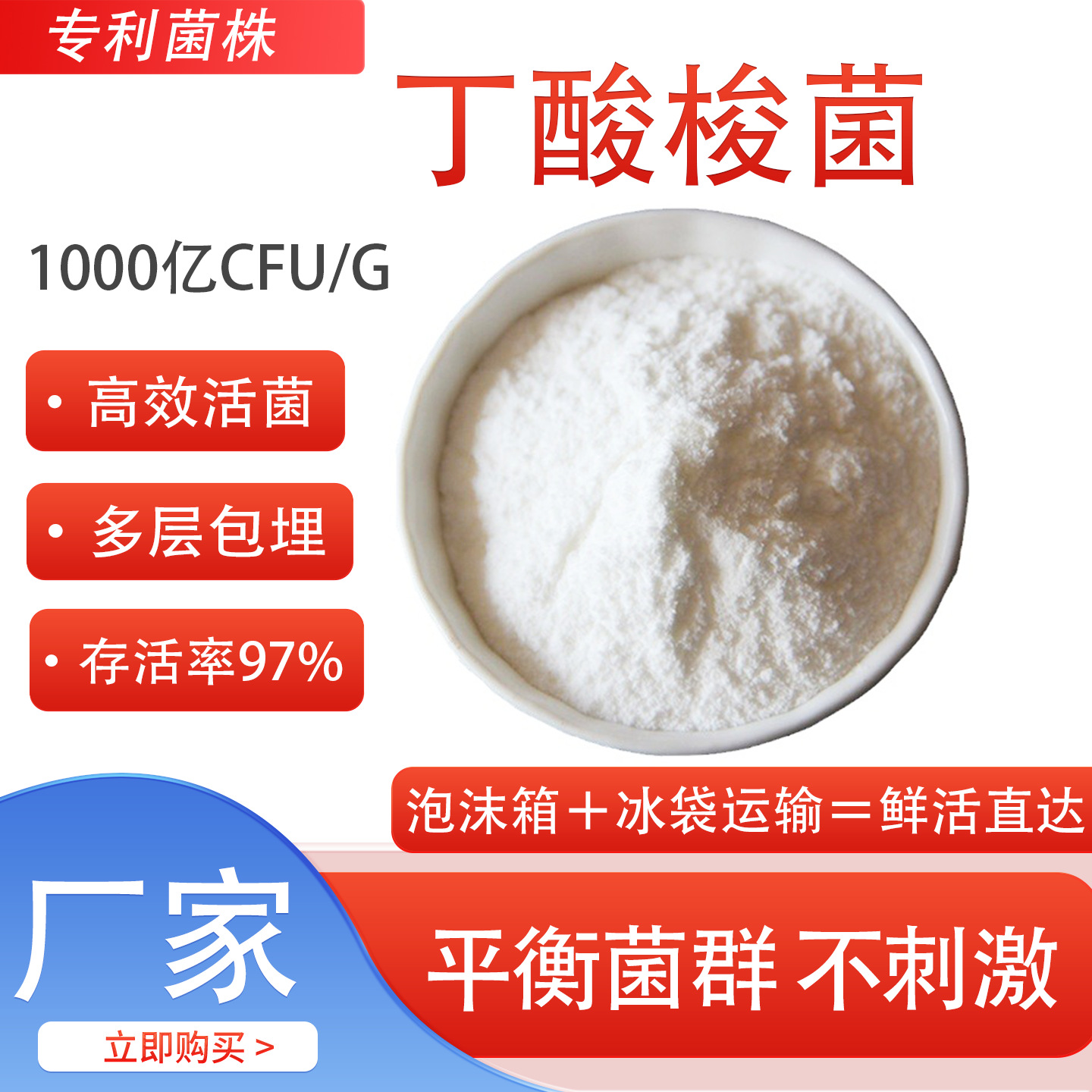 丁酸梭菌1000亿cfu/g益生菌冻干粉乳酸菌固体原料食品级厂家直发