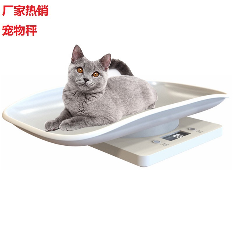 Transfronterizo caliente mini PET Escala de actualización 15KG Escala electrónica paquete escala recién nacido perro gato comida escala de peso