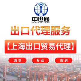 外贸出口代理服务 上海深圳到白俄罗斯代理外汇申报 上海跨境RMB